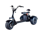 CityCoco Trike